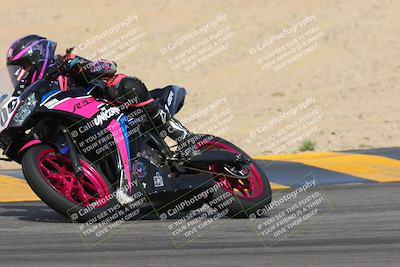 media/Mar-12-2023-SoCal Trackdays (Sun) [[d4c8249724]]/Turns 9 and 10 (1020am)/